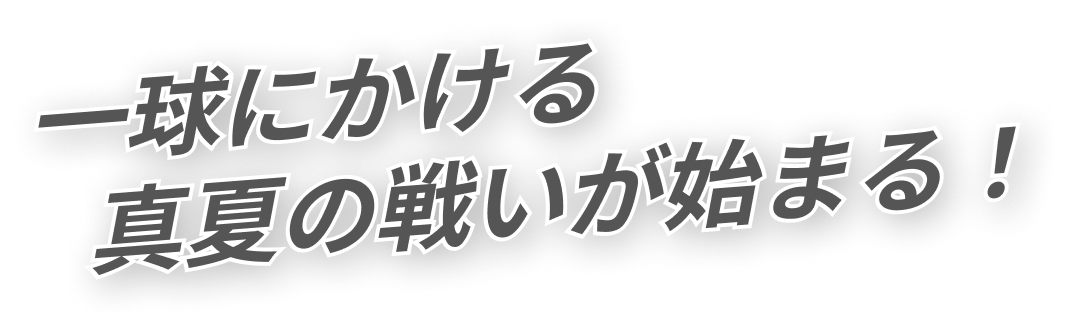 一球にかける真夏の戦いが始まる！